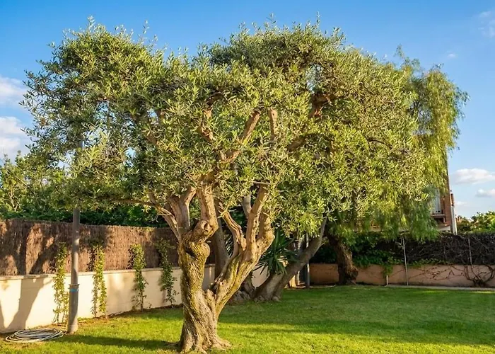 Cristina 5 Min Walk To The Rooftop Duplex 180 M2 Very Cared * 锡切斯